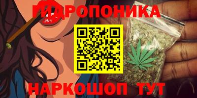 мдпв Рязань