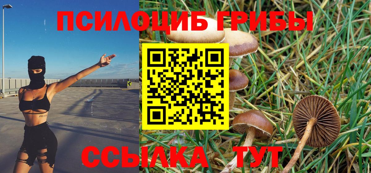 где купить наркоту  Псилоцибиновые грибы Magic Shrooms  Вход с VPN  Галлюциногенные грибы прущие грибы  Санкт-Петербург 